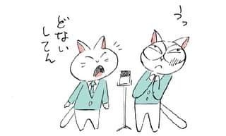 ねこのインスタグラム