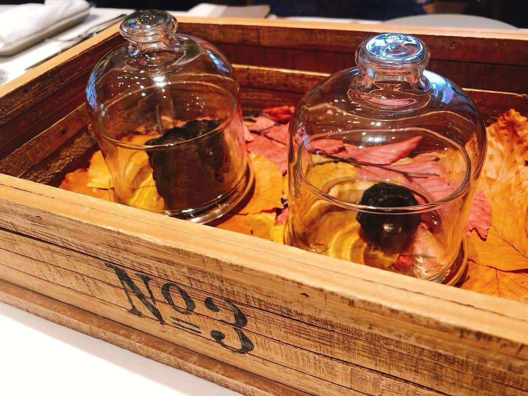 井端珠里のグルメインスタ