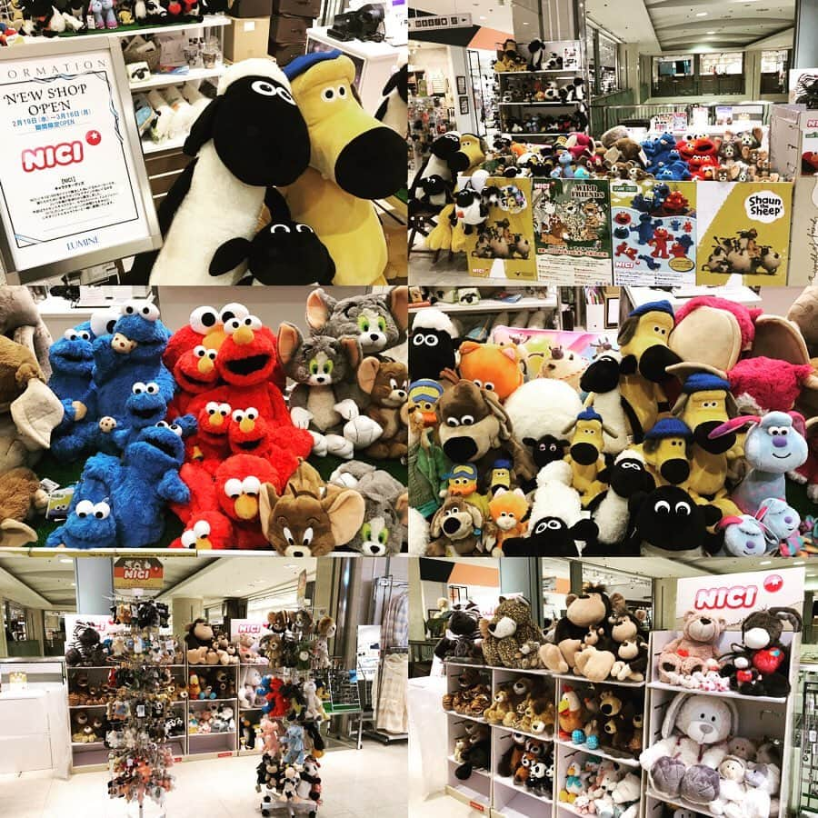 NICI JAPANさんのインスタグラム写真 - (NICI JAPANInstagram)「... ルミネ立川店7F 東側エスカレーター前イベントスペースに、期間限定NICIショップ登場！セサミストリートグッズの他、ひつじのショーン、トムとジェリー、グレムリン、などのキャラクターグッズ、NICIビーンバッグ、フィギュアポーチ、ぬいぐるみなど豊富に取り揃えてみなさまのご来店をお待ちしております☆この機会、お見逃しなく！！ . . 店名 👉NICI・アイラSHOP . 期間 👉2020/2/19(水)-2020/3/16(月) . 営業時間 👉10：00-20：30 . 場所 👉 ルミネ立川店7F 東側エスカレーター前イベントスペース . お問合せ先：070-1213-1029 運営会社：㈱アイラ こちらのSHOPは㈱アイラ が運営しておりますので、期間中のSHOPに関するご質問は、上記お問い合わせ先へお願い致します。※営業時間のみ . . #NICI #ニキ #ドイツ #ぬいぐるみ #期間限定 #NICIショップ #ニキショップ #愉快な仲間たち #セサミストリート #セサミ #ひつじのショーン #ショーン #トムとジェリー #グレムリン #ギズモ #東京 #立川 #ルミネ立川 #立川駅直結 #ギフト #お土産」2月21日 12時03分 - nici_japan