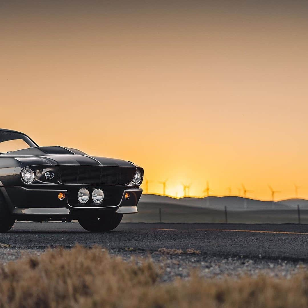 CarsWithoutLimitsさんのインスタグラム写真 - (CarsWithoutLimitsInstagram)「Mustang GT500 Photo @guywithacamera415  #carswithoutlimits #gt500」2月21日 12時04分 - carswithoutlimits