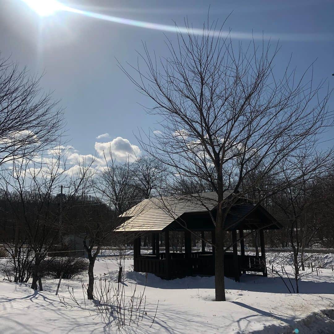 佐伯紅緒さんのインスタグラム写真 - (佐伯紅緒Instagram)「取材で釧路の白糠町に来ています。 遠くで丹頂鶴が鳴いています。 これでも今年は雪が少ないそうです。  #白糠町　#釧路　#北海道」2月21日 12時10分 - beniosaeki