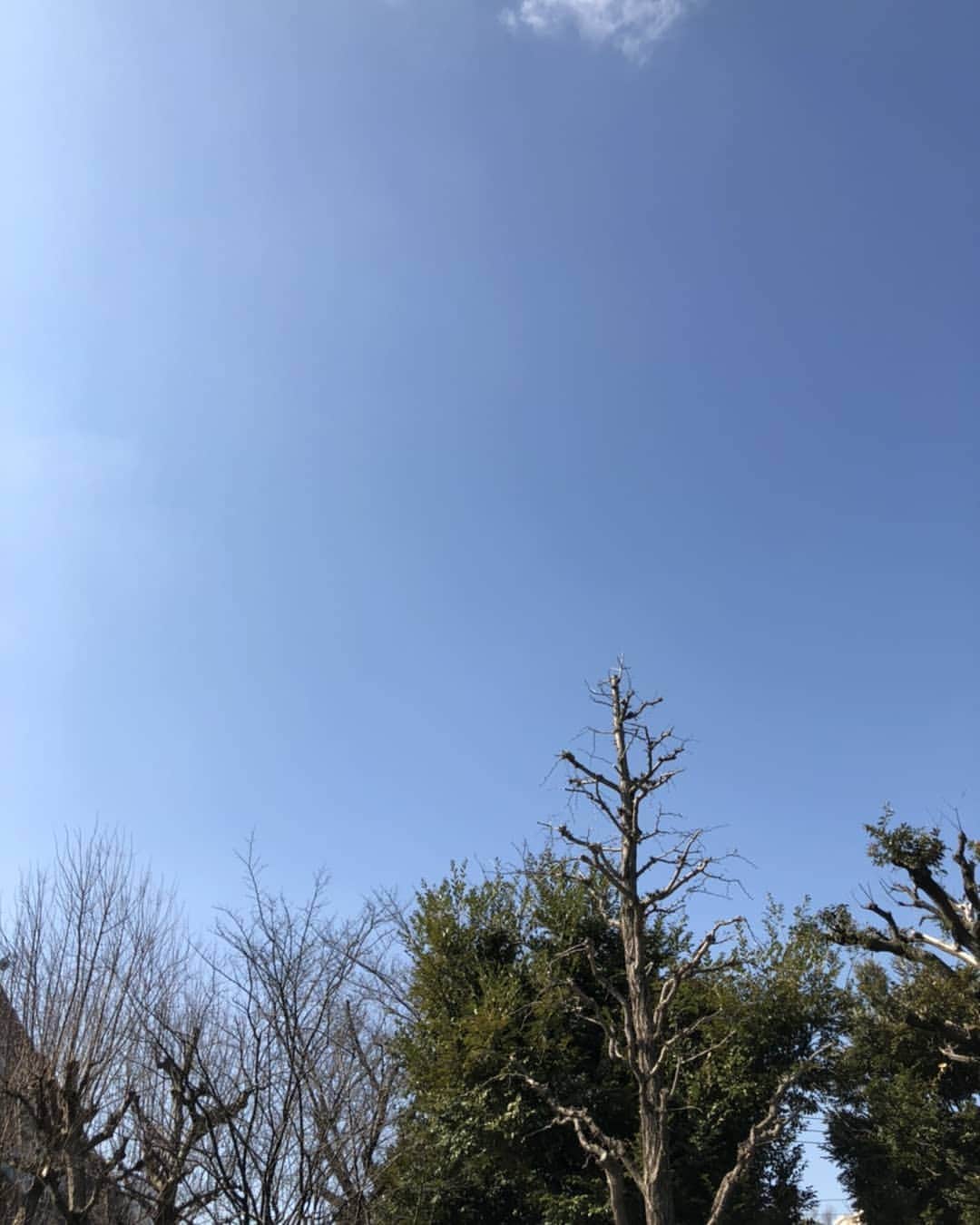 光石研のインスタグラム：「2020年2月21日　快晴。大杉漣さん3回忌。お墓へお参りしてきました。 【by 光石】」