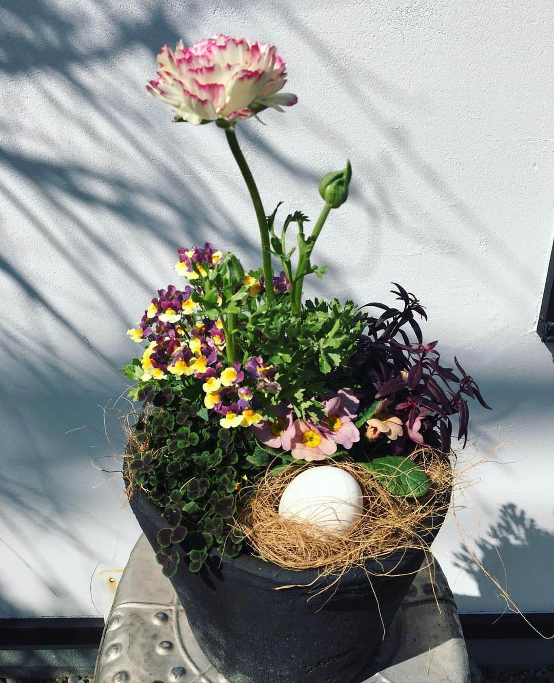 MILLE ECLAT.のグルメインスタ