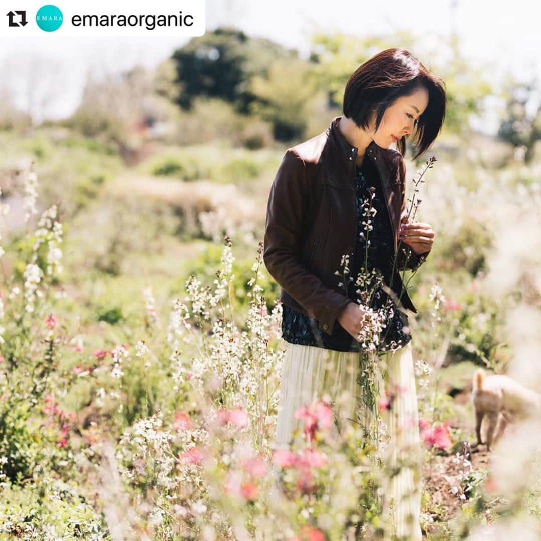 宮崎宣子さんのインスタグラム写真 - (宮崎宣子Instagram)「DM見てくださいね🙏🙏🙏 #Repost @emaraorganic with @make_repost ・・・ 当選の可能性のお知らせ😅💦 バレンタイン企画ですが、 現在5名様に当選のご連絡をしておりますが、 2名様しかDMを見ていないことが分かりました…😣 既読になってないようです。  右上の紙飛行機マークのところをご確認の上、お返事を頂けたらと思っております。。。 今週末までお待ちしますが、 お返事がない場合は、 繰り越しとさせて頂き、 他の3名様を新たに選ばせて頂きます！  DMを活用されてない方もいるかと思いますので、もう一度ご確認くださいませ…🙏 スタッフと確認の上、 先に2名様をお送りして、 新たに3名様を選出してお送りするのか、もしくは、5名揃った時点で発送させて頂くのか、今週末までにお知らせいたします❣️ #バレンタイン企画 #dm見てください  #出荷待ち #emaraメンズボディーソープ  #エマラメンズボディーソープ  #emaramensbodysoap」2月21日 12時58分 - miyazaki_nobuko