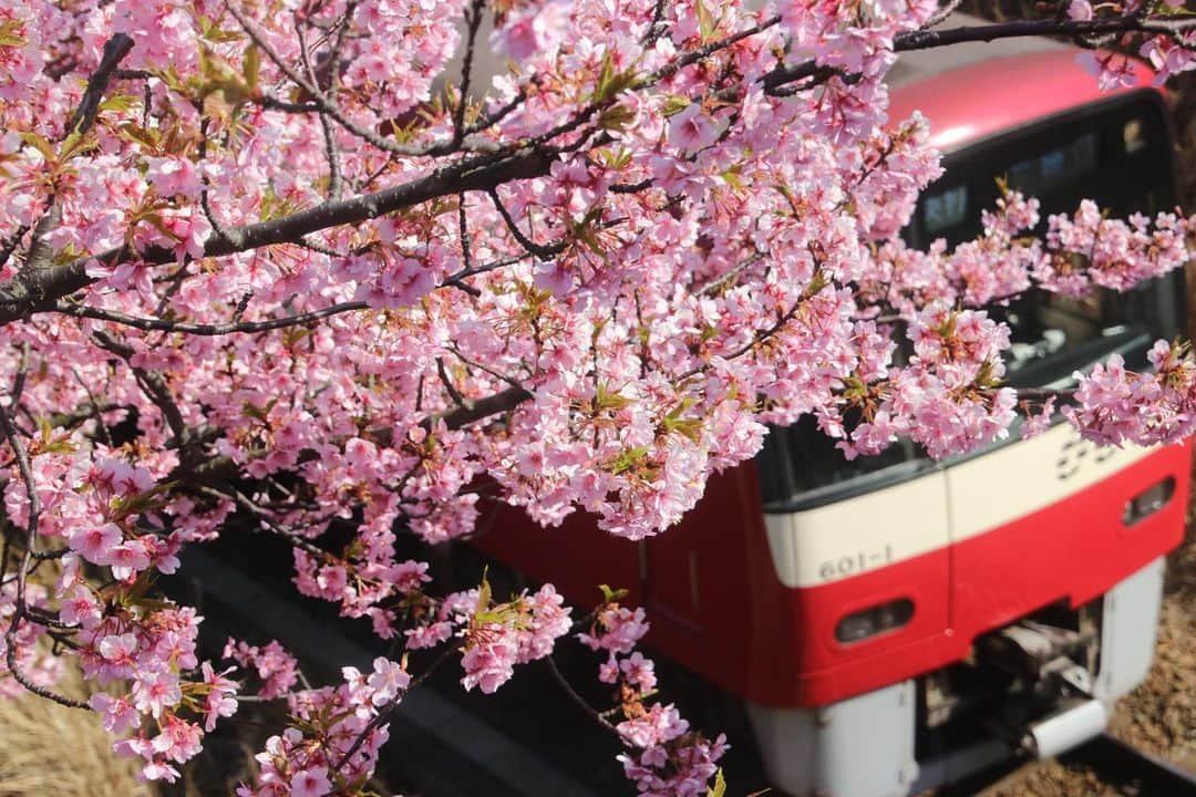 徳永ゆうきのインスタグラム