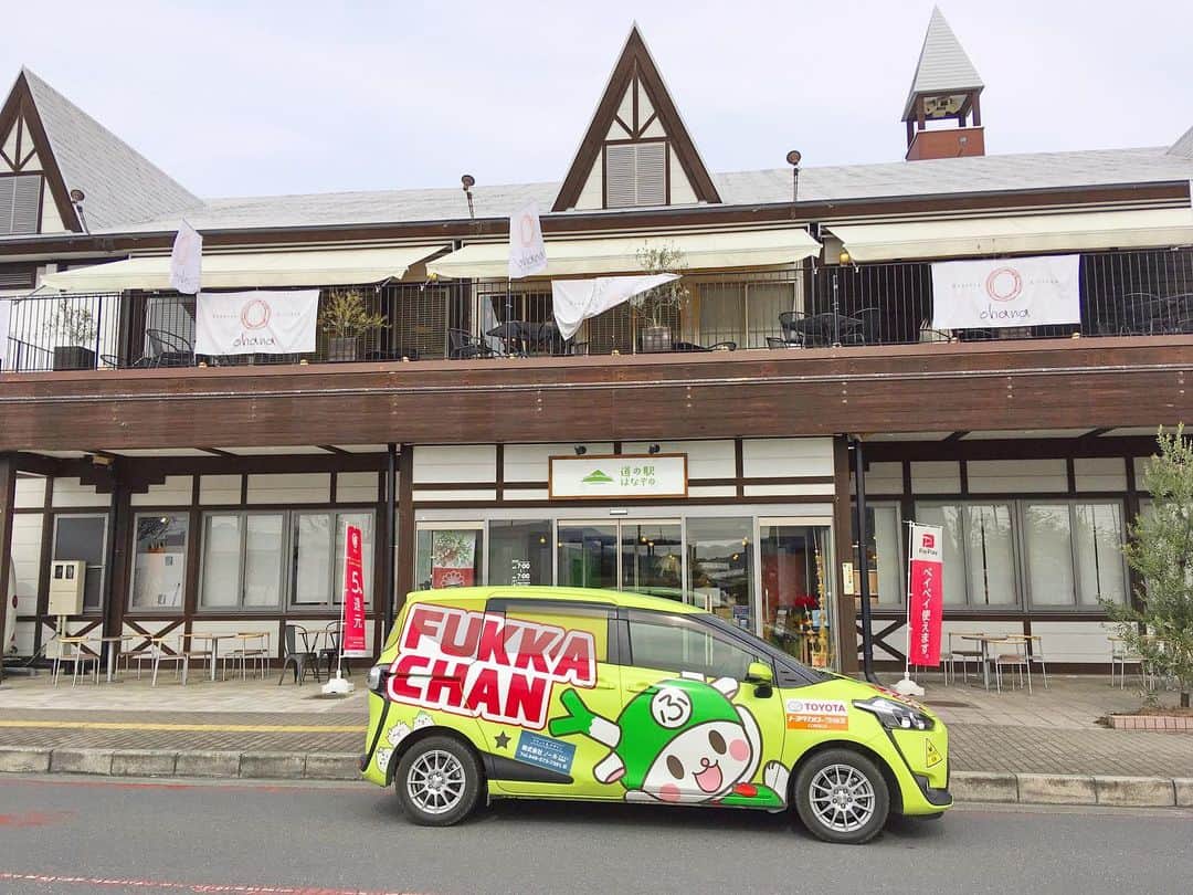 ふっかちゃんのグルメインスタ