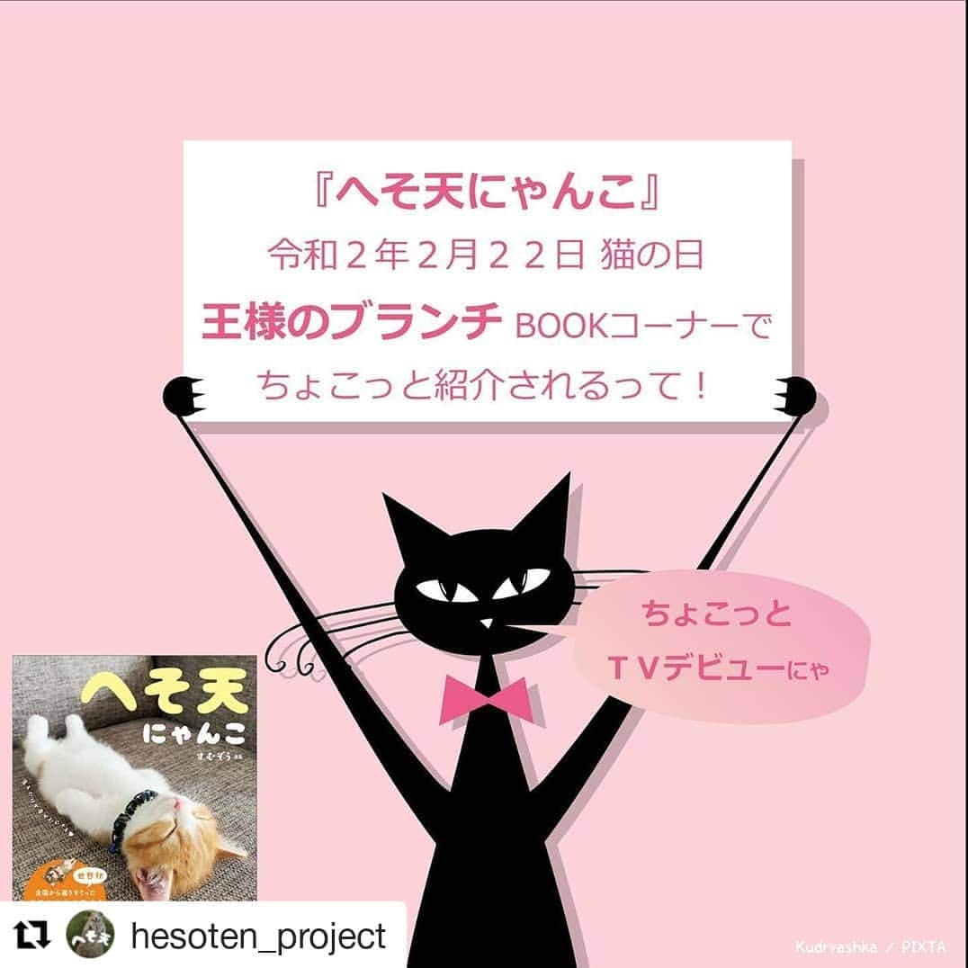 三笠書房のインスタグラム：「明日22日(土)の王様のブランチのブックコーナーにて、『へそ天にゃんこ』が紹介されます❤️ お家でゆっくり過ごされるご予定の方、ぜひ見てみてくださいね！✨ #王様のブランチ　#へそ天　#へそ天にゃんこ #猫写真集  #Repost @hesoten_project (@get_repost) ・・・ . 王様のブランチBOOKコーナーで『へそ天にゃんこ』がちょこっと紹介されるそうです！！！ . 放送予定時間は、11時10分過ぎ頃。 .  ほんのチラリかもしれません。 . #王様のブランチ　#へそ天　#へそ天にゃんこ #猫写真集」