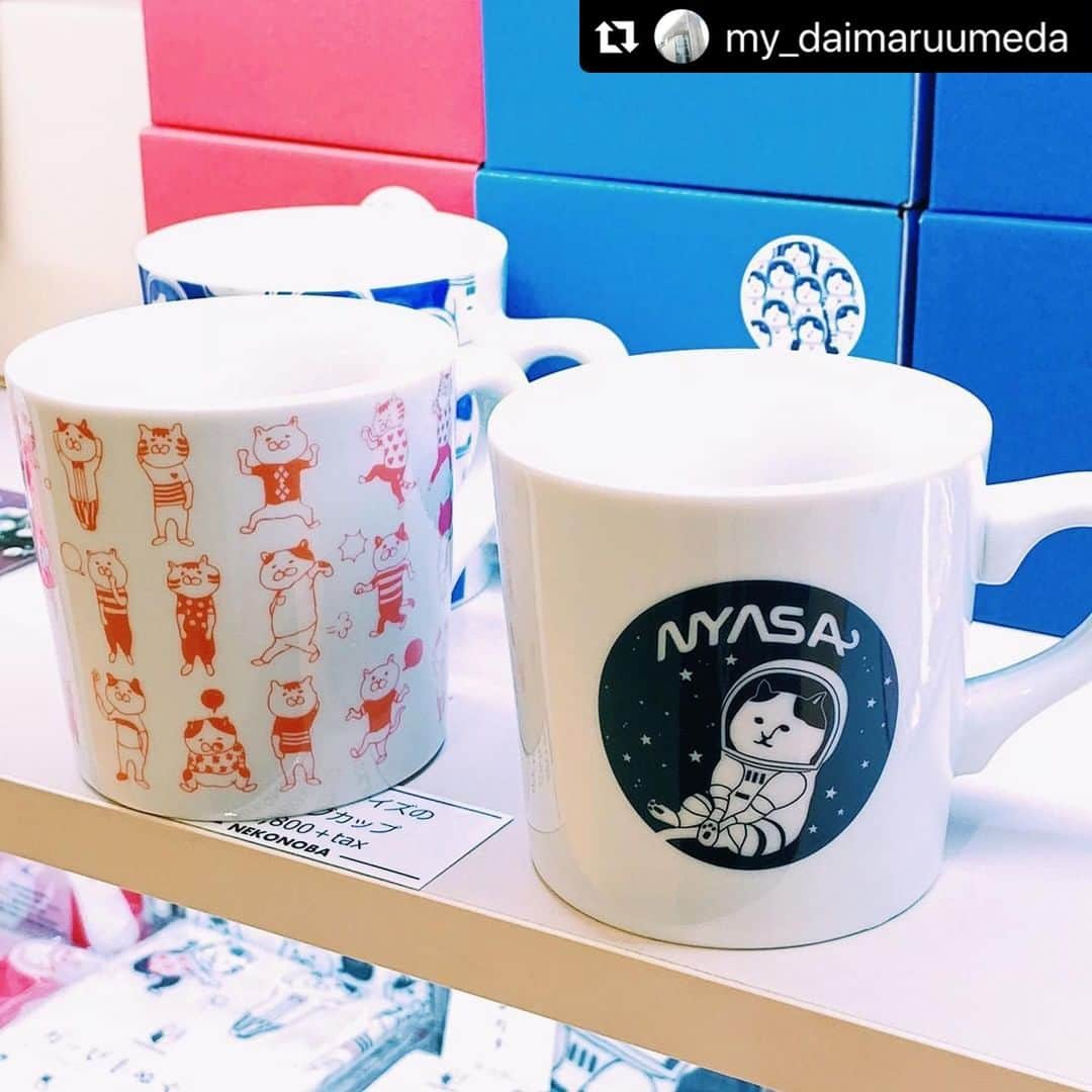 ねこさんのインスタグラム写真 - (ねこInstagram)「NEKONOBA in 大丸梅田店も元気に営業中です❣️❣️ フロアは5Fだよ〜😍✨久々の大阪出店だよ〜😝🙌🏻💕ぜひ遊びに来てね🌈 #Repost @my_daimaruumeda with @make_repost ・・・ . 【キュートでユルくてちょっぴりシュール😸ネコモチーフアイテム💕】 . 〈NEKONOBA（ネコノバ）〉期間限定ショップ . 出版社のネコ・パブリッシングがプロデュースするネコ愛あふれる雑貨が多数ラインアップ中ですよ〜❣️ . ●3月3日(火)まで ●5階 ミチカケ 〈NEKONOBA〉期間限定ショップ . #大丸梅田店 #梅田 #大阪 #大丸 #DAIMARU #ネコノバ #nekonoba #ネコパブリッシング #ねこ #ねこすたぐらむ #猫 #ねこのいる生活 #猫のいる暮らし #猫好きさんと繋がりたい #cat #catsofinstagram #catstagram #cats #にゃんすたぐらむ #にゃんこ #ねこ部 #ねことしあわせdays」2月21日 16時15分 - neko_magazine