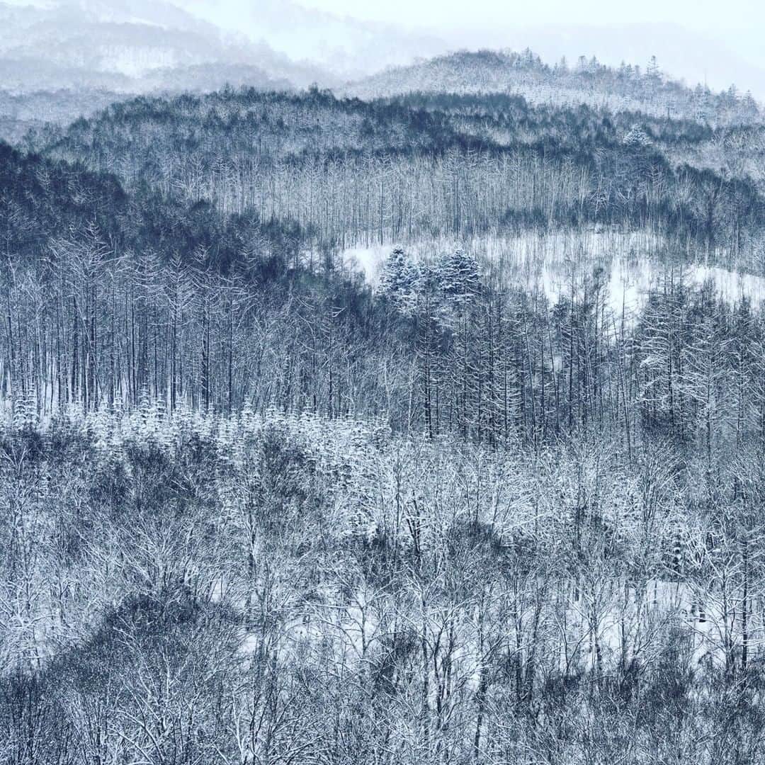 ナショナルジオグラフィックさんのインスタグラム写真 - (ナショナルジオグラフィックInstagram)「Photo by Michael Yamashita @yamashitaphoto | Layers of larch, birch, and pine make for a typical Hokkaido landscape. #niseko #hokkaido #Japan #snowscape」2月21日 16時39分 - natgeo