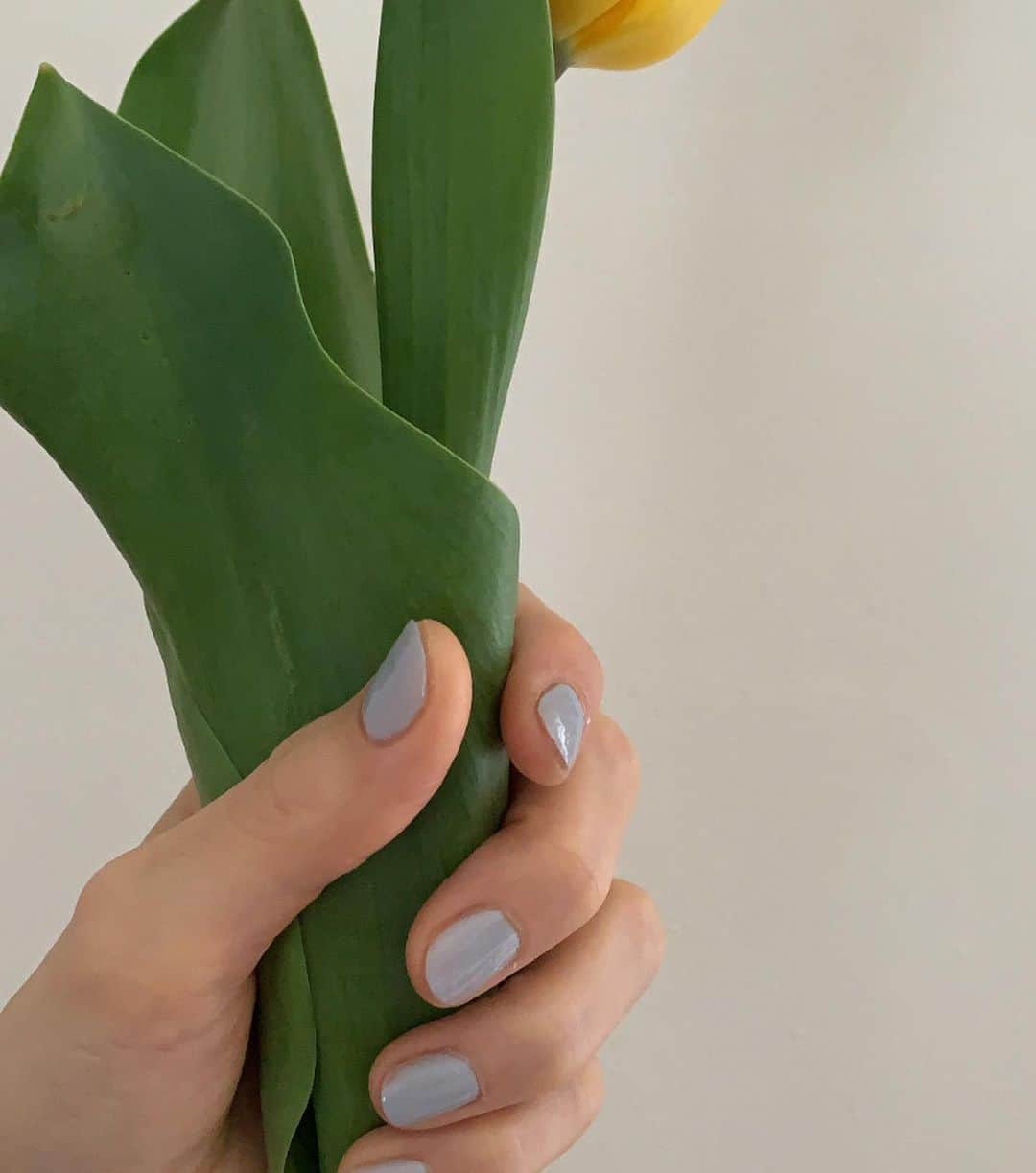 菊井亜希さんのインスタグラム写真 - (菊井亜希Instagram)「3/3 発売の🌸 THREEシーズンコレクションキット💁‍♀️ 私はオススメしてもらった pink +greenで少しくすみ系なcoolを表現🤍 持つだけで気分があがるパッケージと、お花畑のようなアイパレット🎨 コンパクトなリップジャムは、瑞々しいのに濃厚な発色💋 THREEのネイルポリッシュは、いつもワクワクするカラー展開🌸 今シーズンも間違いなく素敵！ はぁ 愛おしい春がやってくる♡ @threecosmetics」2月21日 16時53分 - bollywoood
