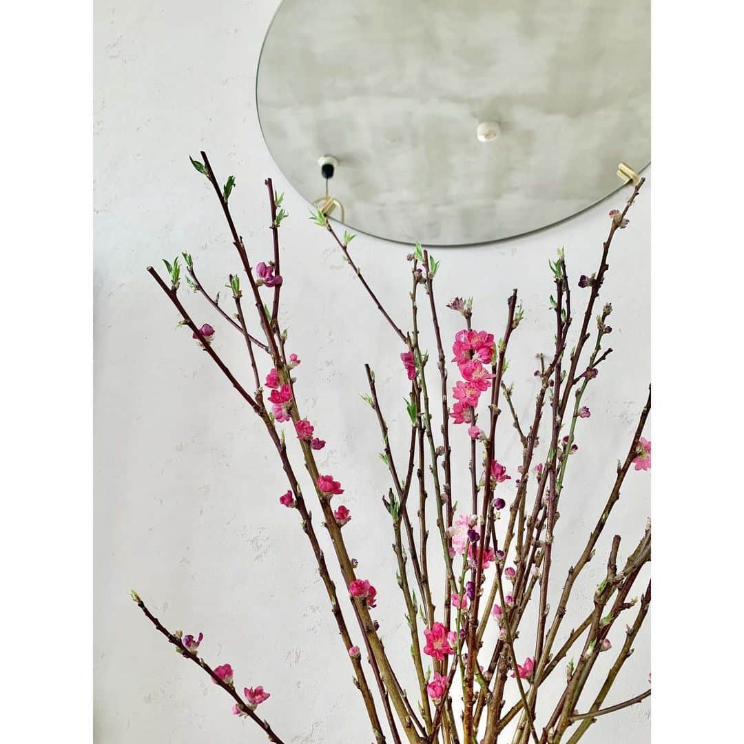 小林有里さんのインスタグラム写真 - (小林有里Instagram)「♡ 今回は桃の花♡ もっともっと咲いておくれ〜🌷✨ . . おひなさまも 姉妹分出したし♡ . . それにしても 枝物って 飾るの難しなー。 . . . #interior#kobahome #simple#桃の花#春」2月21日 18時23分 - lilyshandmade