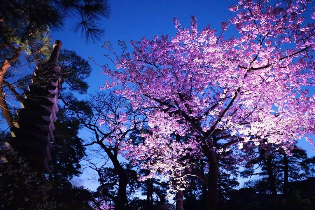 八芳園のインスタグラム