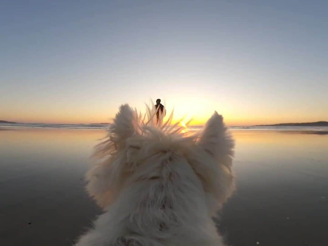 GoProのインスタグラム