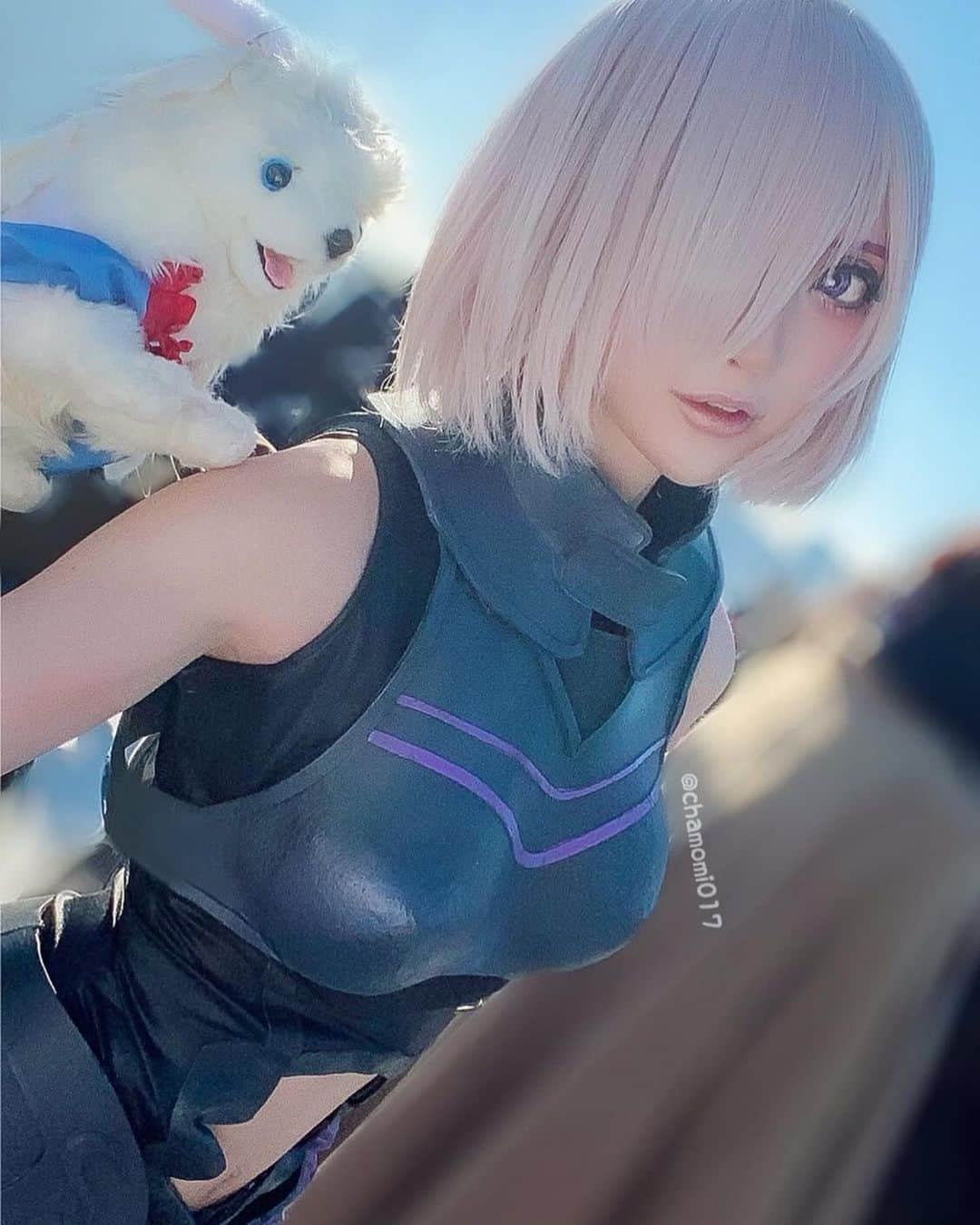 華密美琉さんのインスタグラム写真 - (華密美琉Instagram)「フォウフォウ！ Fate Grand Order / マシュ  #FGO #mashu #mashucosplay #mashucosplayer #mashucos #マシュ #マシュコスプレ #マシュコスプレイヤー #コスプレ #コスプレイヤー #fate #fategrandorder #fatecosplay #fgocosplay #fgocosplayer  ツイートはこちら💁‍♀️ https://twitter.com/chamomi017/status/1229613071535984642?s=21」2月22日 5時03分 - chamomile_chami