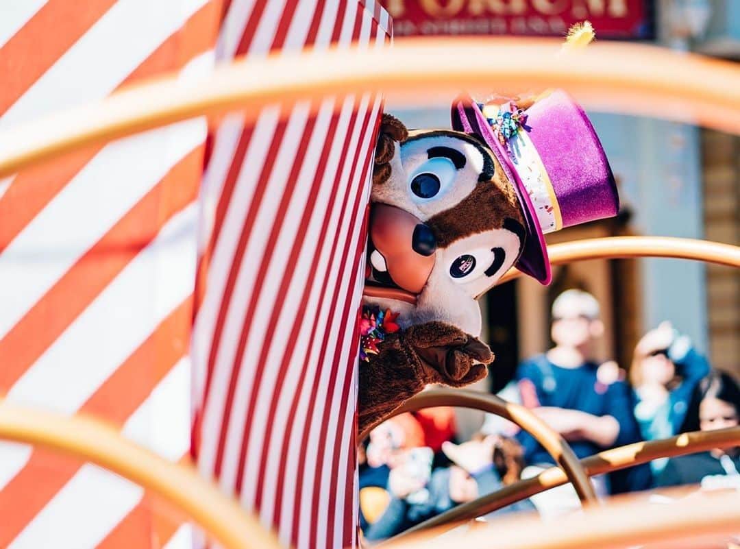 のインスタグラム：「Peeking into the weekend like… 👀🐿👋 #MoveitShakeit #WaltDisneyWorld (📷: @jcadventures24)」