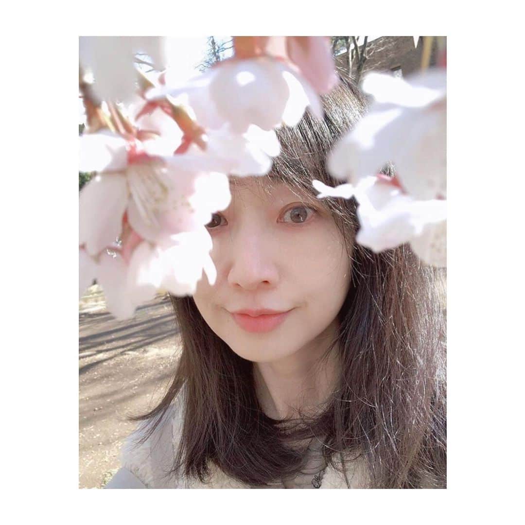 理絵さんのインスタグラム写真 - (理絵Instagram)「去年の桜の写真を見返していて、ふと目にとまったのがこの写真なのですが  徐々に大きくなる子宮筋腫について、このまま様子を見るべきか手術をするべきなのか毎日悩んでいたときの写真  で、この写真の数日後に「手術をする！」って決めたんだよね…なつかしい  #桜 #sakura #벚꽃 #ciliegio #cherryblossom #flowers #flower #fiore #꽃 #花 #model #actress #모델 #여배우 #tokyo #japan」2月21日 21時06分 - ____rie____