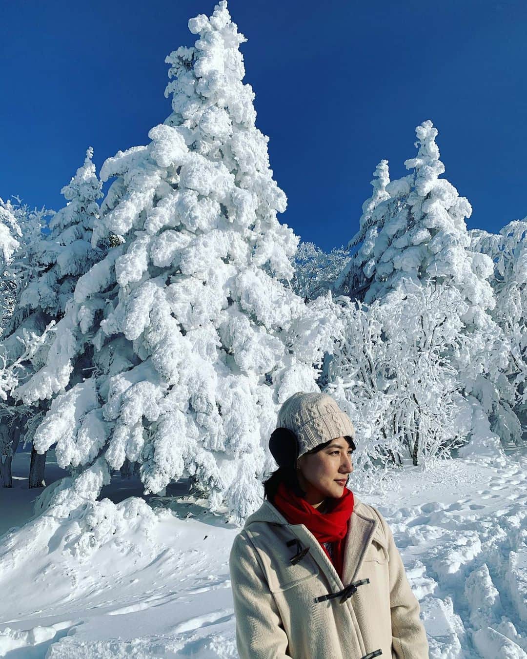 中江有里さんのインスタグラム写真 - (中江有里Instagram)「スノーモンスターと呼ばれる樹氷。 「じょんのび日本遺産」で訪ねた蔵王にて。  初めての樹氷、自然の力を感じました。精巧な彫刻のようでした。まさに芸術品。 番組ではもっと高いところに出来た樹氷が見られるはずです。 樹氷が立派で美しい場所は、冷たい風が容赦なく吹きつけてきて、かなり寒かったです。。。 #中江有里  #じょんのび日本遺産  #蔵王  #樹氷  #スノーモンスター」2月21日 21時19分 - yurinbow1226