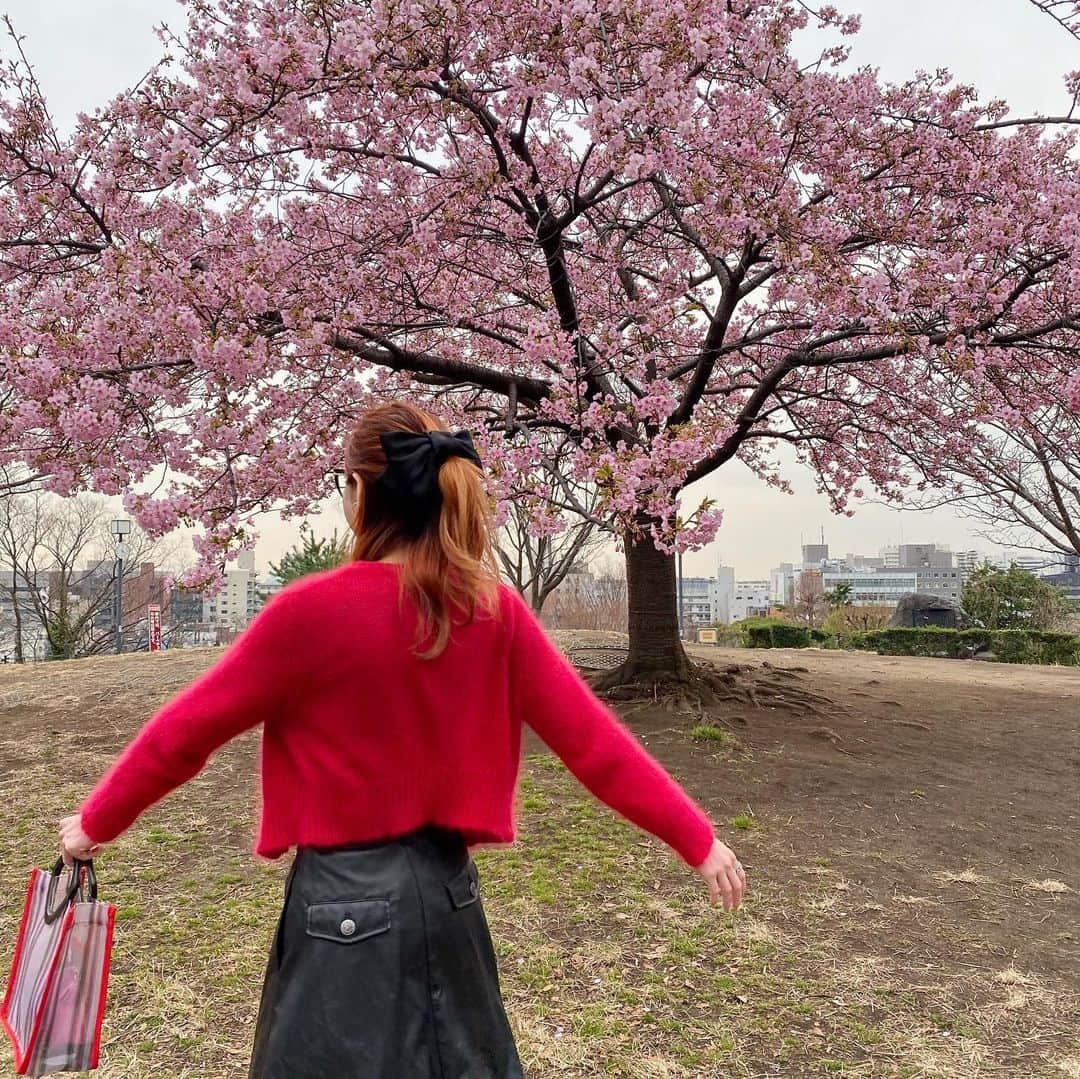 瀬戸あゆみさんのインスタグラム写真 - (瀬戸あゆみInstagram)「はる、みーつけた🌸﻿ Tops_ @xgirljp ﻿ Cardigan_ @maisonfifichachnil ﻿ Skirt_ @aymmy93 ﻿ Bag_ @casselini_official ﻿ Shoes_ @31philliplim ﻿ Glasses_ @miumiu ﻿ ﻿ #ayumi_outfit #🌸﻿」2月21日 21時39分 - setoayumi