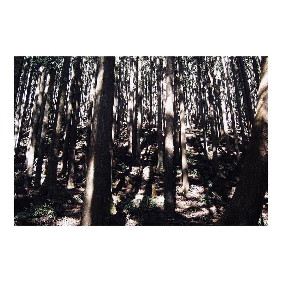 SEN（三辻茜）さんのインスタグラム写真 - (SEN（三辻茜）Instagram)「I see the forest and the trees」2月21日 21時54分 - sen_mitsuji_official