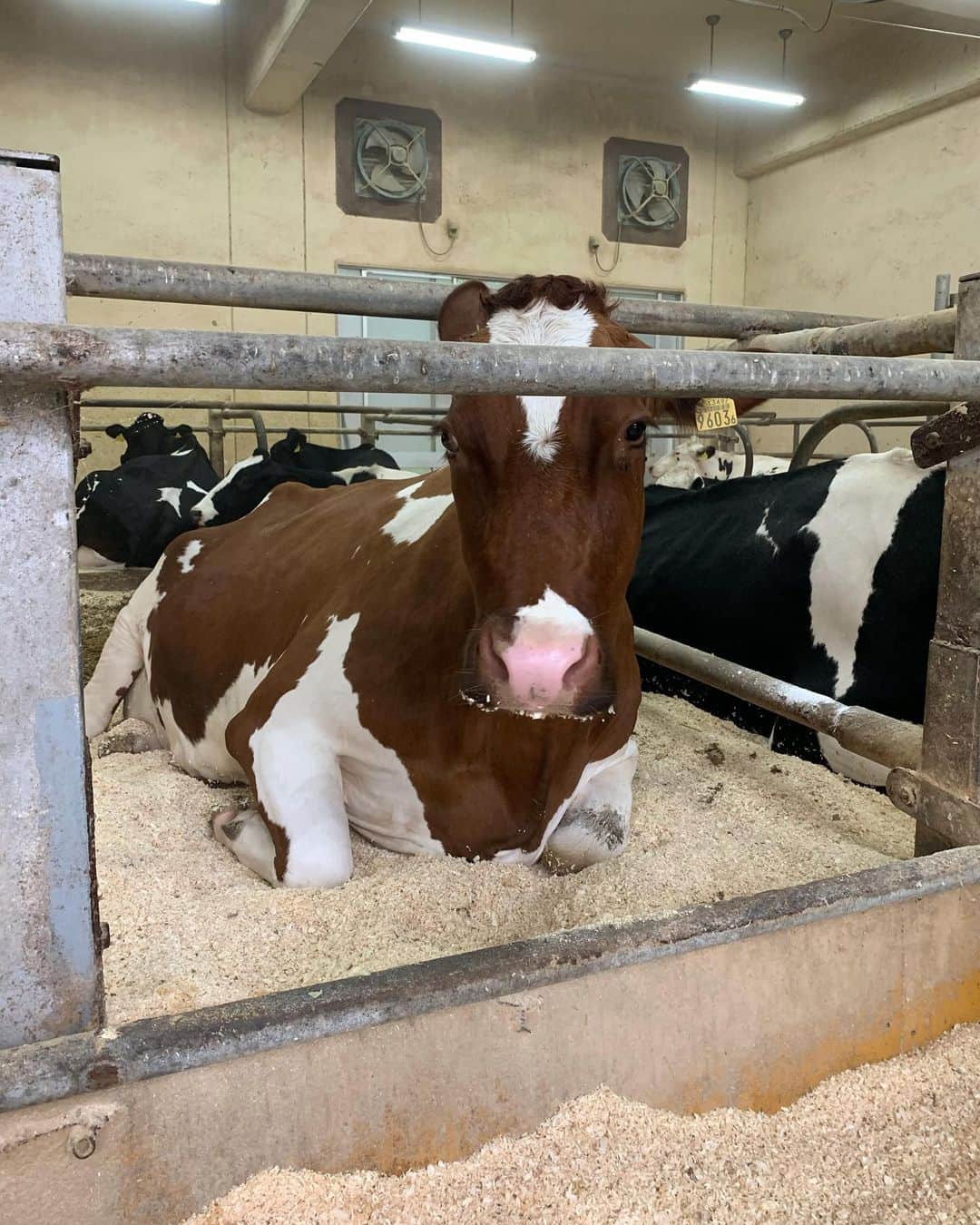 藤田日和のグルメインスタ