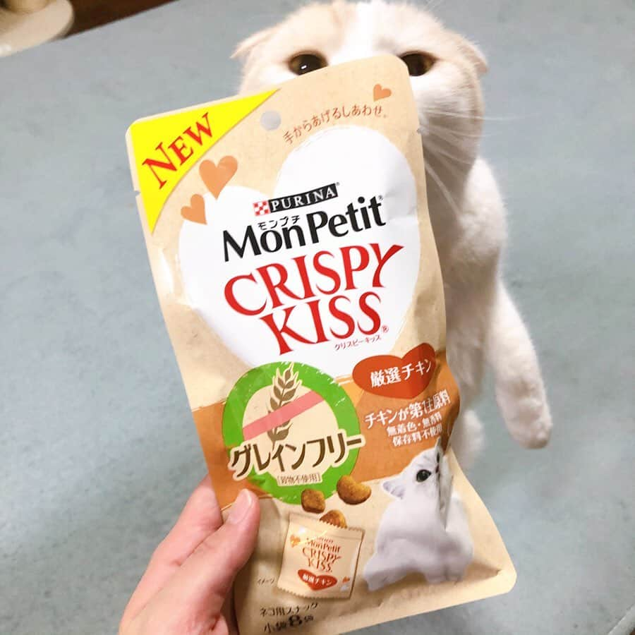 はなぼくろきなこさんのインスタグラム写真 - (はなぼくろきなこInstagram)「今日たまたま猫用ふりかけ(まぐろ)を買いに行ったら、モンプチのクリスピーキッスのグレインフリーが売ってた！！！いつからあったの！？グレインフリー😭💗✨✨ きな、このシリーズ小さい頃大好きで、でもアレルギー見つかってから食べさせられなくて😭 見つけた瞬間、きなのためのおやつだ！！って思ったー😭💗✨ ありがとう、モンプチさん！！😭✨ #クリスピーキッスグレインフリー  #クリスピーキッス #モンプチ #はなきな #猫部  #にゃんこ  #スコティッシュフォールド #猫  #猫のいる暮らし #😻 #みんねこ」2月21日 22時40分 - hanabokurokinako