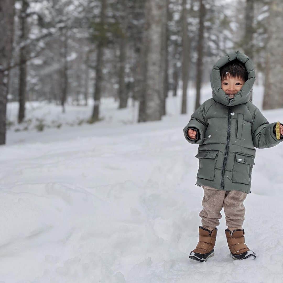 中川珠里さんのインスタグラム写真 - (中川珠里Instagram)「.﻿ 北海道へ来ました☃️﻿ やっぱりさむ〜い。いまは-9度。﻿ でもパウダースノーに大興奮です。﻿ あしたはゲレンデデビューです👦🏼✨✨﻿ ﻿ #かいり初めての北海道#2歳7カ月﻿ #星野リゾートリゾナーレ」2月21日 22時58分 - juri1104