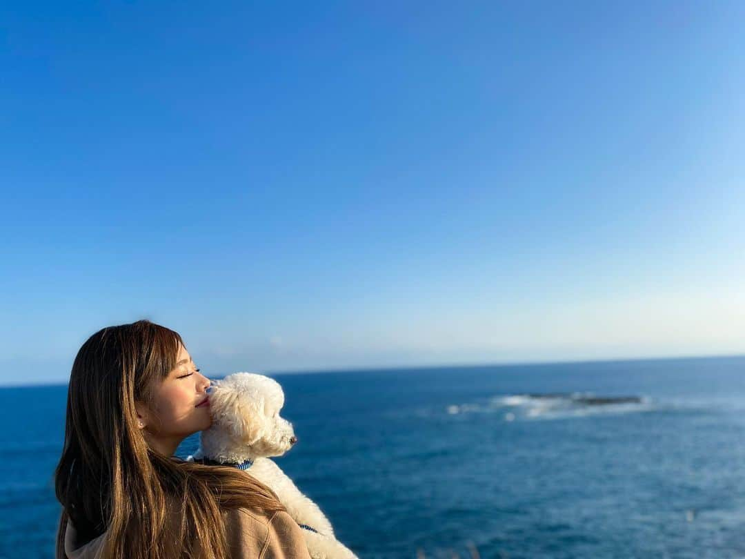 やしろななさんのインスタグラム写真 - (やしろななInstagram)「まりんと家族で旅行中🐶🤎 まりんにとって初めてのお泊まりだから凄い楽しそうだった🥰 明日も沢山遊ぼーね♡」2月21日 23時41分 - 8467_0