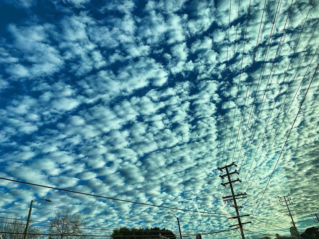 ケリー・オックスフォードのインスタグラム：「I’m so used to no weather in LA that the clouds reallllllly tripped me out this morning. The entire valley was covered and it was so beautiful that I thought this photo deserved main page. SEND.」