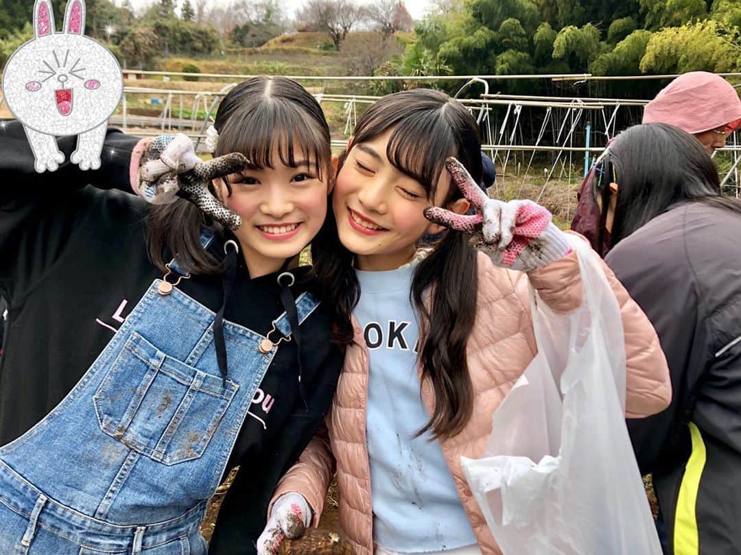 ニコ☆プチのインスタグラム：「おふしょじゃじゃーん🍠✨ . . ニコ☆プチ小学校では、 プチモ全員参加の初合宿を開さい🤩🎶 おいもほり~~🤭🍠💗笑 #ニコプチ  #犬飼恋彩  #入江美沙希  #葛西杏也菜  #川合菖蒲  #川本結月  #近藤藍月  #関谷瑠紀  #丸山真亜弥  #本多萌愛  #松本麗世 #森﨑美月  #八木珠梨  #和田美羽  #たのしそうなみなさん😚 #おいもほりの他にも色々やったよ😏💞」