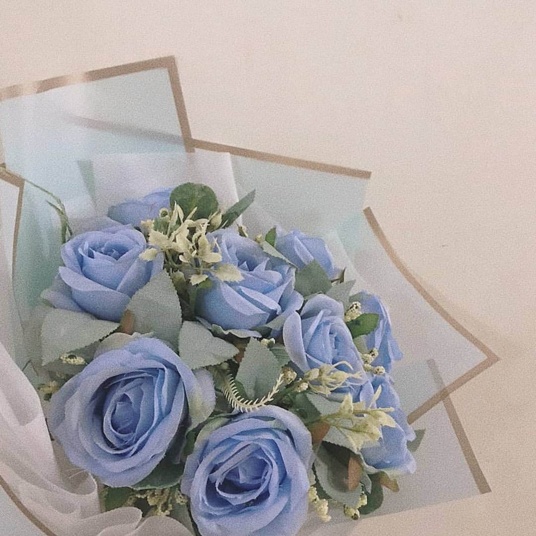 森川葵のインスタグラム：「Roses are blue」