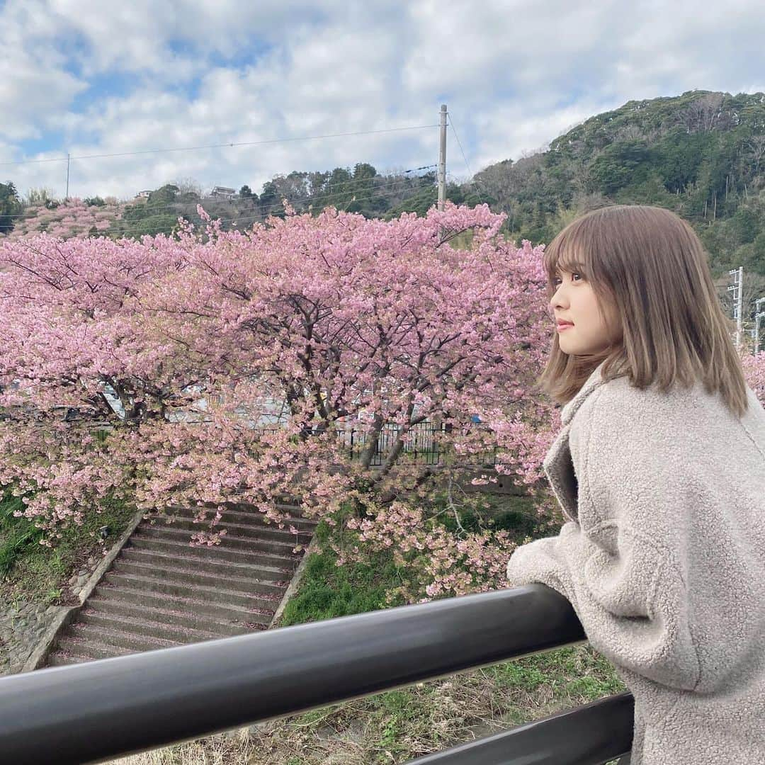 松元絵里花さんのインスタグラム写真 - (松元絵里花Instagram)「* 河津桜🌸 川の音と風の音、鳥の鳴き声。 出店の美味しそうな匂い。 魅力たっぷりな場所でした☺︎ そして、街の人がとても 優しくて温かかった♡ スタジオ衣装 @loveless_guildprime  #王様のブランチ#旅バト #tbs#静岡県#伊豆#伊豆稲取」2月22日 14時36分 - matsumoto_erika