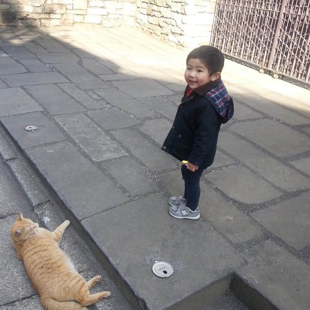 水原恵理さんのインスタグラム写真 - (水原恵理Instagram)「ラグビーの22mラインを見てふと思い出しました。今日は猫の日😸 BSテレ東は今日はBSキャッ東に名前を変更して、1日猫特集！  写真は甥っ子1号が初めて猫に接近できた日と、甥っ子2号の写真。」2月22日 14時34分 - erimizuhara