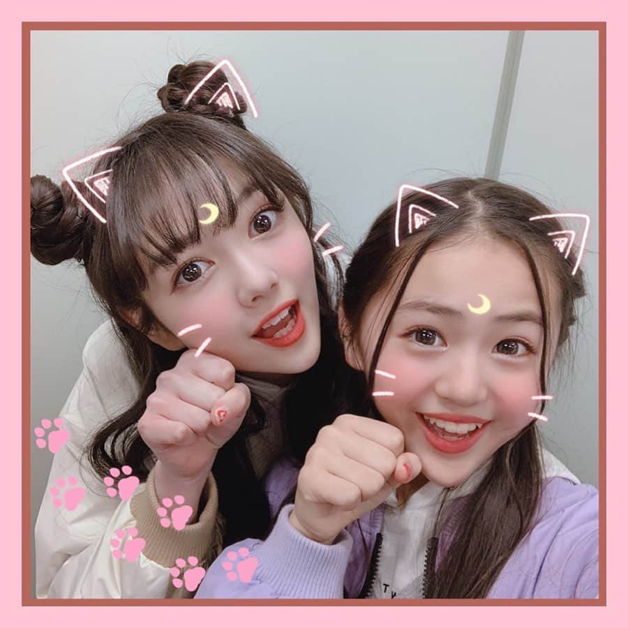 PINK-latte TV (ピンクラテTV) 公式さんのインスタグラム写真 - (PINK-latte TV (ピンクラテTV) 公式Instagram)「【ピンクラテTV #ネコの日 🐱】ㅤㅤㅤ﻿ ﻿ 2月22日は 「#ねこの日 」〜！😽💕﻿ ﻿ #アリユナ #ユラユナ も、ネコになってみた😻﻿ 加工カメラアプリにも、いろんなネコフィルターが﻿ あるよね😛💞﻿ どのスタンプが盛れるかな？🍒﻿ みんなはどの加工がお気に入り？？🥰﻿ ﻿ ねこの日、せっかくだから﻿ ネコスタンプで写真🤳撮ってみて〜！💕﻿ ﻿ ---﻿ #ネコ #ねこ #ねこすたぐらむ #ねこのいる生活﻿ #ねこすきさんと繋がりたい #ネコ部﻿ ---﻿ #PLTV #PINKlatteTV #ピンクラテTV﻿ #ピンクラテWEBモデル #ピンクラテ #ぴてぃーず ﻿ #宇井優良梨 #花田姫佳 #石山えこ #菅井純愛 #松本優菜﻿ #JCモデル #JSモデル」2月22日 14時50分 - pinklatte_tv