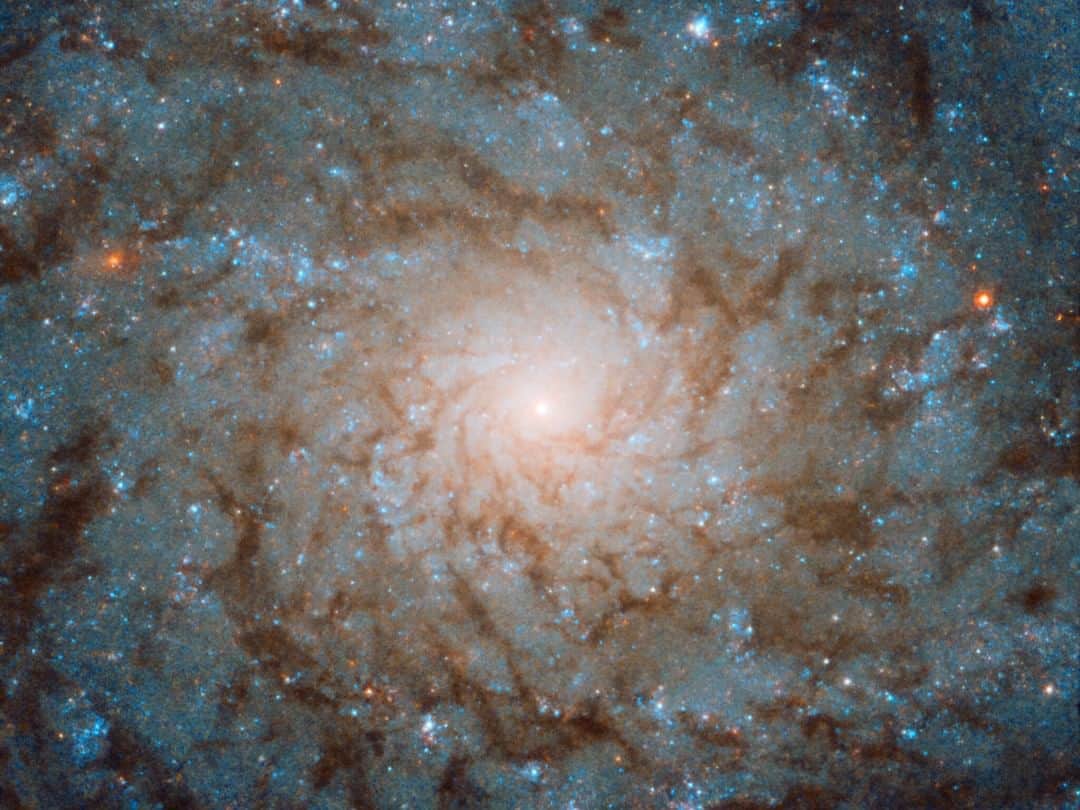 NASAさんのインスタグラム写真 - (NASAInstagram)「With little contrast between the spiraling arms of stars, gas and dust, and less dense areas in between, this spiral galaxy appears as unassuming as a smudged fingerprint on the sky, yet, just as exceptional. “Anemic galaxies” like this one contain only small quantities of the raw materials needed to produce stars. But, despite its subtlety when compared to its brash, spotlight-stealing relatives, it retains an otherworldly charm, standing out gracefully from the surrounding darkness of space.  Click the link in the bio for more info ⬆️ 📸 Image credit: ESA/Hubble & NASA  #NASA #Galaxy #Spiral #hubblefriday #spiralgalaxy #spacephotos」2月22日 6時30分 - nasa