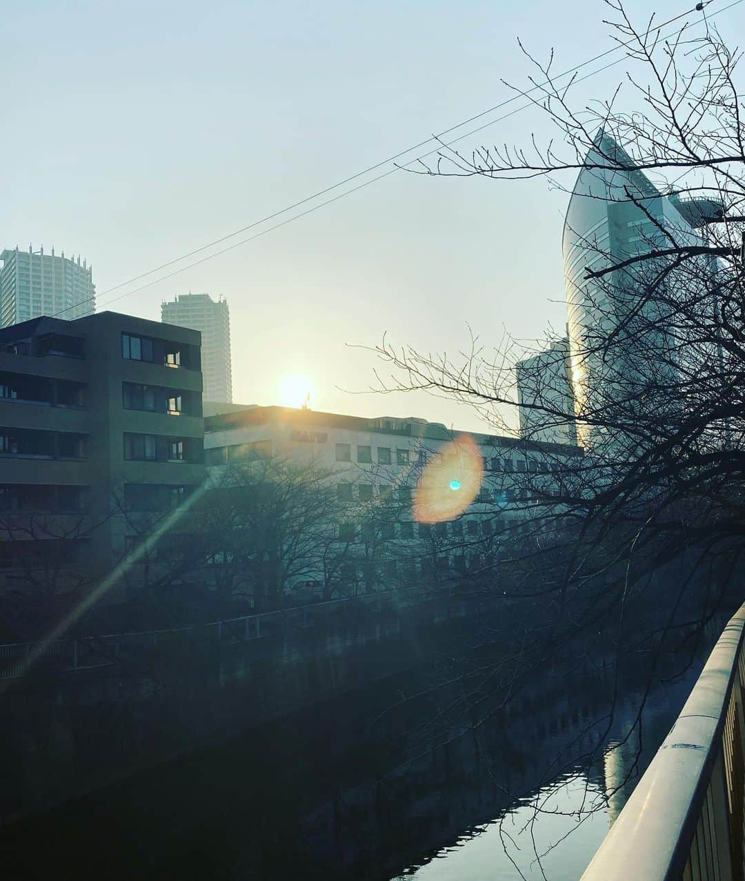 森恵さんのインスタグラム写真 - (森恵Instagram)「ランニングin東京。 PCや機材が調子悪くて いろいろ試してたら朝。 疲れてたけど目が覚めてるから走ってきたよ。 雨上がりの朝陽は、月並みだけど とても綺麗でした。 太陽だけど。  #ランニング #nrc #朝陽」2月22日 7時45分 - morimegumi_official