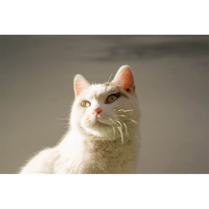 ハリウッドランチマーケットのグルメインスタ