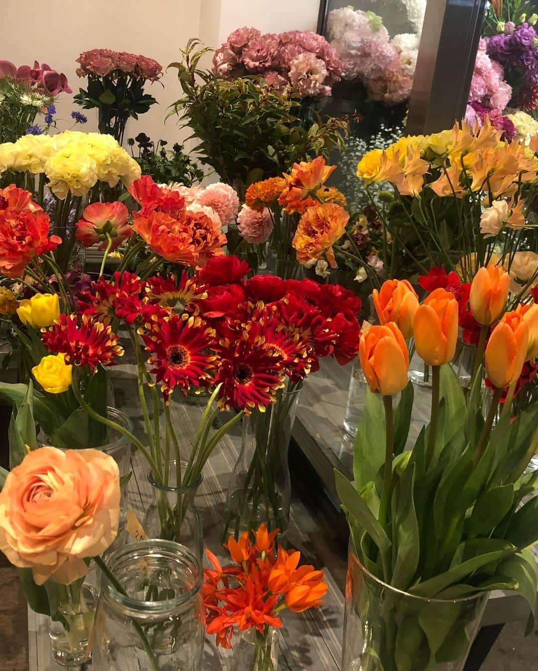 千吉良恵子さんのインスタグラム写真 - (千吉良恵子Instagram)「#春日和 #花善 #学芸大学 #西口商店街 #春はもうそこまで💕 #癒し #☺️💕🍀」2月22日 8時51分 - chigirakeiko
