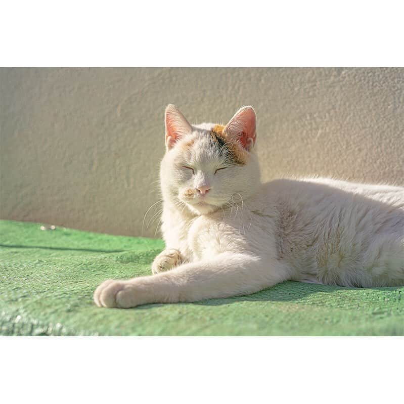 ハリウッドランチマーケットのグルメインスタ