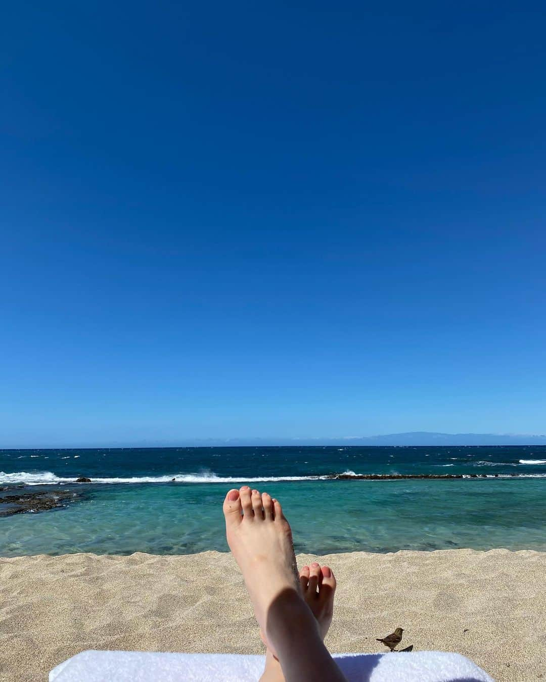 橘知衣代のインスタグラム：「* 雲ひとつない空。」