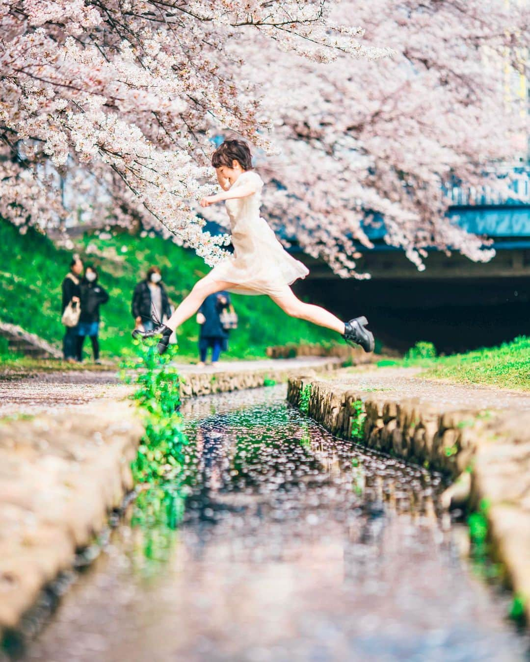 kenta_soyoungさんのインスタグラム写真 - (kenta_soyoungInstagram)「kyonen no sakura . . .  Last year's cherry . . . 今年はどんな桜が撮れるかなぁ🌸 model: @moekeeey」2月22日 9時33分 - kenta_soyoung