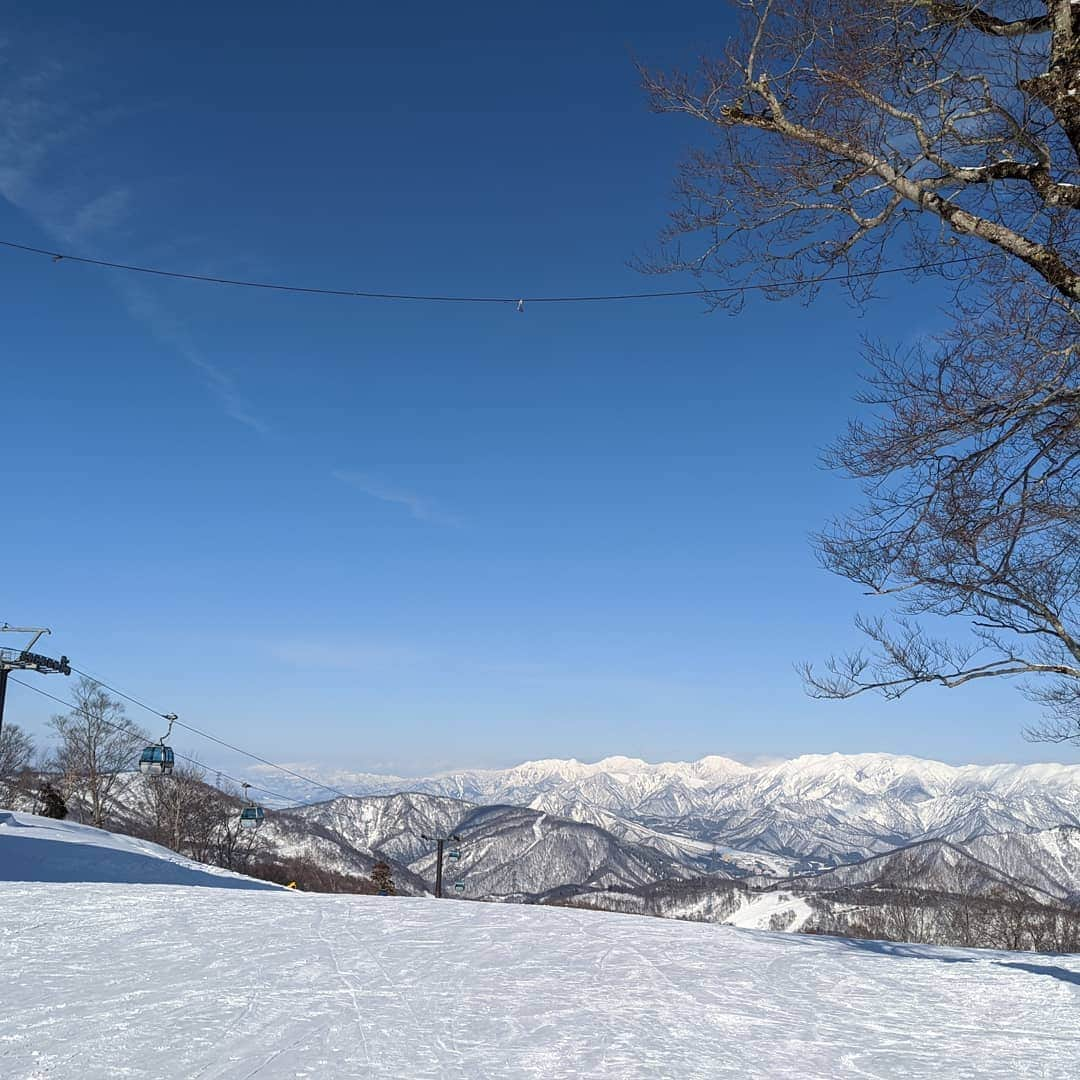 山下晃和さんのインスタグラム写真 - (山下晃和Instagram)「【OUTDOOR&SPORTS】RENくんとスノーランデブー  スキーを買ったとのことで、ガンガン雪山行っているところ、自分も便乗させてもらいました  趣味が合いすぎますね、レジステッドトレーニング、林道ツーリング、自転車などなど  職業が一緒なのも気が合うし！  まだ数回しかスキーしていないというのだけどもスピードけっこう出していて、追いつけない箇所もありました 小林くんは 身体能力高すぎるんだよね  かぐらのゲレンデだけでもフカフカ箇所あって最高  ありがとう@ren19790209 くん！  #ski #snowboard #雪山 #skijapan #スキー #スノーボード @ren19790209  @renkova_photography  #小林廉 #athlete  #training #次の日の野球動けなかったよ #下半身トレーニング #バラクラバ #フロントランジ #絶対に諦めない 人 #モンベル #montbell #Analog #houdini #mensmodel #model #Japanesemensmodel #雪山デート #デート」2月22日 9時36分 - travel_akikazoo