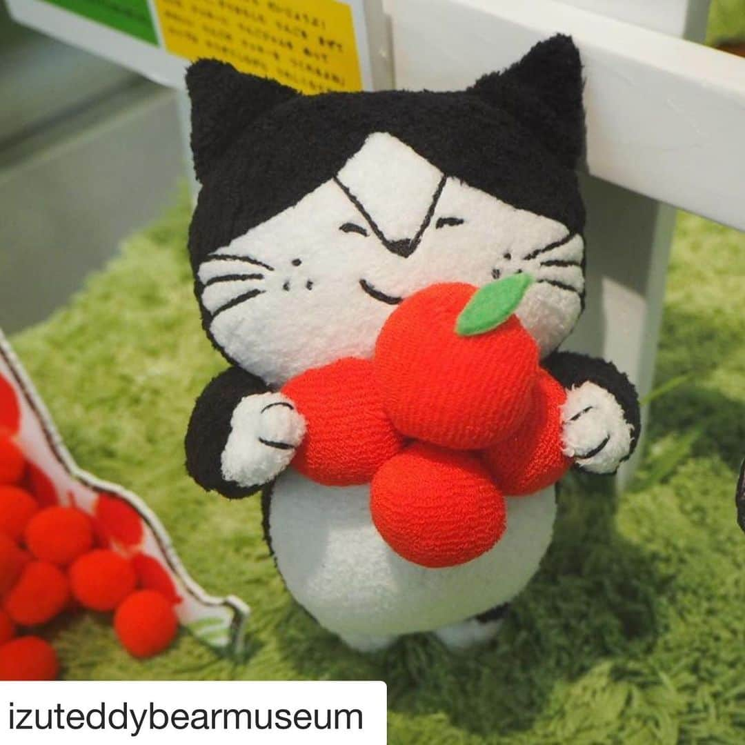 momoroさんのインスタグラム写真 - (momoroInstagram)「#Repost @izuteddybearmuseum with @get_repost ・・・ * 『こねこのルップ  りんごだいすき 絵本展』は3/25(水)までです🍎  ショップではももろさんのグッズも販売しております✨ ぜひお越しくださいませ🎵 * * #ももろ #絵本 ﻿﻿#伊豆高原 #伊豆テディベアミュージアム #テディベアミュージアム  #ぬいぐるみ #伊東市 #itouji #伊豆 #静岡」2月22日 9時49分 - momoro6666