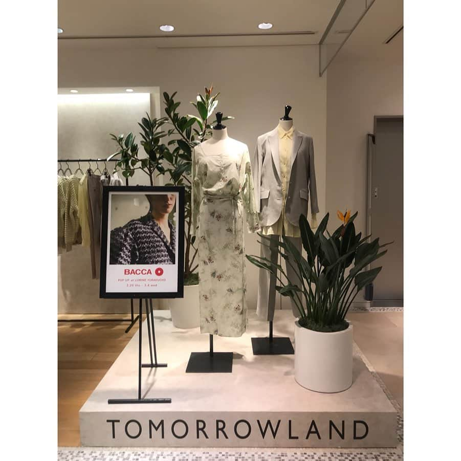 TOMORROWLAND_Womensさんのインスタグラム写真 - (TOMORROWLAND_WomensInstagram)「〈BACCA POP UP〉 トゥモローランド ルミネ有楽町店にて、3月4日(水)までの期間〈BACCA〉のPOP UPを開催しております。 この機会にぜひ、店頭で〈BACCA〉の世界観をお楽しみください。 @bacca_jp . #bacca_jp #tomorrowland_jp #tomorrowland_womens  #tomorrowland #fashion」2月22日 9時51分 - tomorrowland_womens