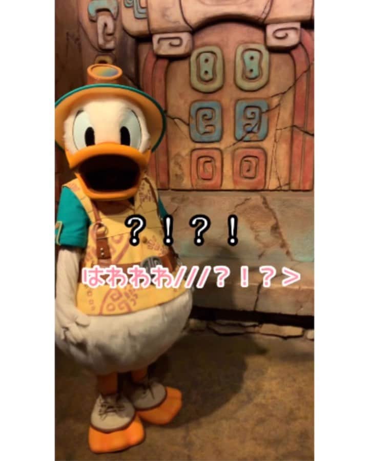 日岡なつみのインスタグラム：「不意打ちイケメンドナルド🥺 ∵ キャストさんも周りのゲストさんもざわめいてた。笑 これはずるすぎる…心奪われました…💘💘 ∵ #ディズニー #東京ディズニーリゾート #東京ディズニーシー #ディズニーシー #ドナルド #トレイルドナルド  #トレドナ #グリーティング #グリ動画 #キャラグリ #disney #tokyodisneyresort #tokyodisneysea #disneysea #TDR #TDS #donald #donaldduck #ディズニー好き #ディズニー好きな人と繋がりたい」