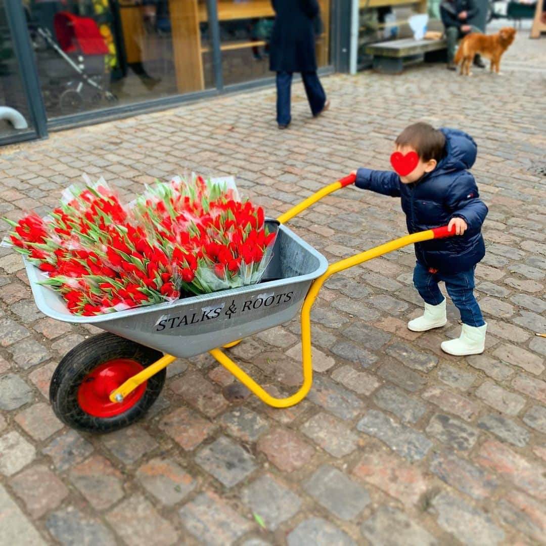 小出由華のインスタグラム：「📣お花はいらんかね〜‼︎ ココを通る時は必ずお花を買ってしまいます😊💐見たことがなかったお花が沢山置いてあったり新鮮なお花があるので見るだけでも楽しいです🌸🌸🌸 ＊ #デンマーク#お花屋さん#デンマーク市場#denmark#flower#danmark#torvehallerne#blomster#🇩🇰」