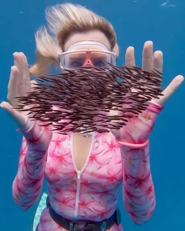 WildLifeのインスタグラム：「Words by @onebreathbeth Look deep into my fyshtal ball! The ocean is full of magic. It casts a spell over you 🔮 ⁣ I was swimming in a bait ball of yellow fish when a shifting little-something caught my eye in Sodwana Bay, South Africa. The skipper was yelling and pointing for me to go back into the action but I didn’t hear a thing!⁣ ⁣ It was tough to leave these guys as the snappers below came up to feed on them every time I surfaced. A reminder to appreciate the little things in life, while you can 💙⁣ ⁣ 🎥 @freedivingcouple 🎵 Its Magic (Warp9 remix)⁣ 🚤 charter @dablujuice75 ⁣」