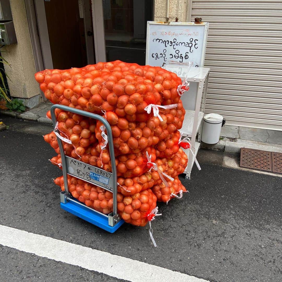 KEN KAGAMIさんのインスタグラム写真 - (KEN KAGAMIInstagram)「onions  2020」2月22日 10時32分 - kenkagami