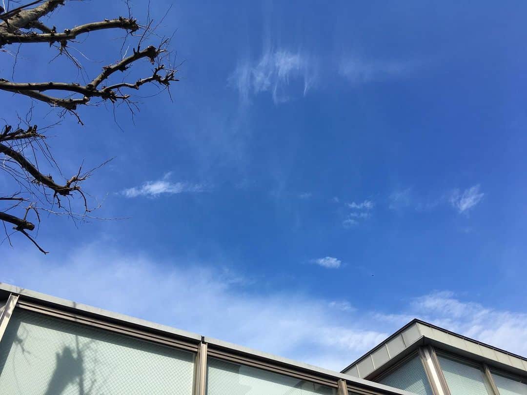 のインスタグラム：「おはようございます。 只今の代官山地区の天候は晴れ。 本日の最高気温は16℃の予報です。 予報は曇り・雨の可能性も出ていますが、現状穏やかで暖かい天気となっております。 では本日も皆さまのご来店お待ちしております。  #b印yoshida #bjirushiyoshida #daikanyama #代官山 #beams #porter」