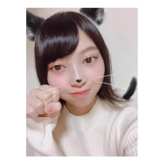のインスタグラム：「❤︎﻿ ﻿ ﻿ 2月22日ฅ^._.^ ฅ﻿ ﻿ ﻿ #猫の日 #黒猫 ﻿？#白猫 ？ #instagood #instalike #followme」