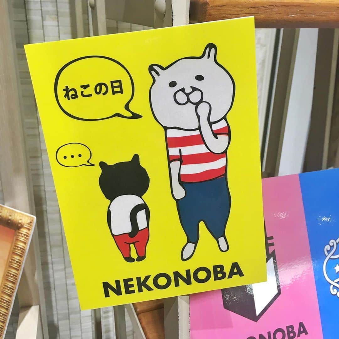 ねこさんのインスタグラム写真 - (ねこInstagram)「2月22日きたーーっ❣️😻💕今日は「猫の日」だよ〜🤟🏻✨ NEKONOBA in 渋谷ヒカリエでは「猫の日」を記念して、お得なチョコレートセットを販売します❣️🍫 22日〜24日の3日限定☺️👍🏻お得プライスになっているよ🤑✨ 中身はアソートセットになっているので、好きな組み合わせを選んでね〜❤️分からないことがあれば、NEKONOBA店員に❣️ 今日もみなさまにお会いできることを楽しみに頑張ります🐱ぜひ売り場に遊びに来てください❣️❣️ #neko_magazine #NEKONOBA #ねこマガジン #ネコノバ #ねこ #猫 #cat #catstagram #cat #ネコフェス #ヒカリエ  #shibuya #渋谷 #渋谷ヒカリエ」2月22日 11時38分 - neko_magazine
